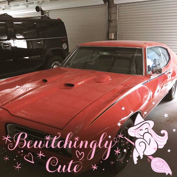 Meet your Posher, Pat - Picture 1 of 1